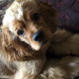 Meet your Posher, Kaitlyn